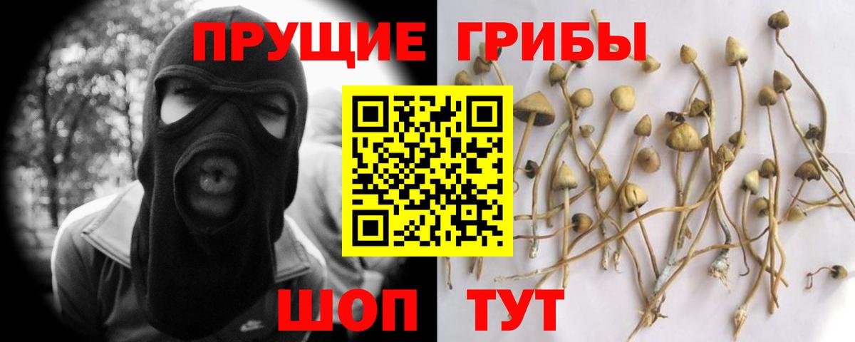 Галлюциногенные грибы мицелий Нововоронеж